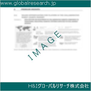 グローバルリサーチ調査資料のイメージ
